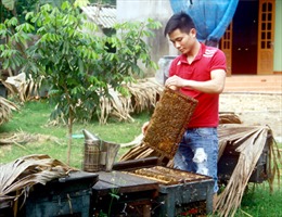 Thanh niên 9X thành tỷ phú nhờ nuôi ong mật